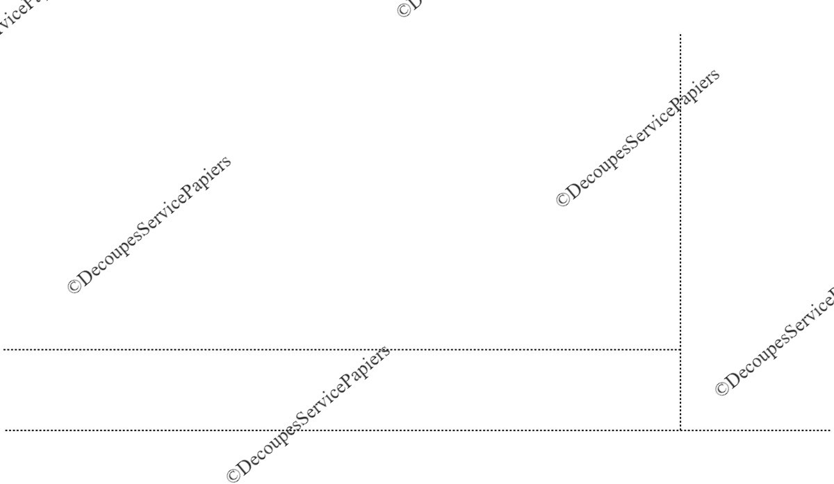 FEUILLE SECURITE SOCIALE A4